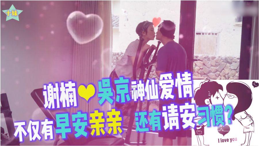 逃离金色蜜蜂森林